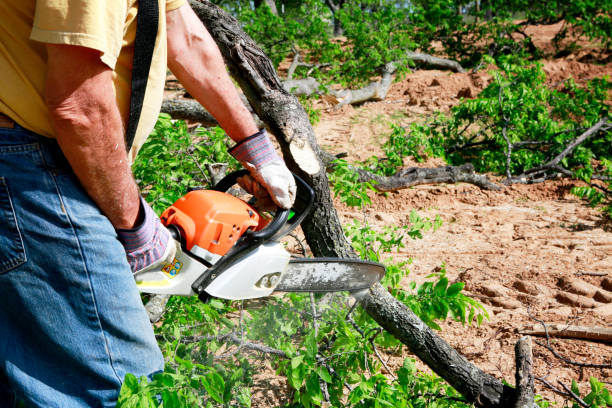 Best Residential Tree Removal  in Towaco, NJ